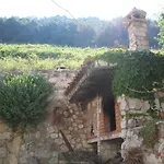 Apartment Stiniva