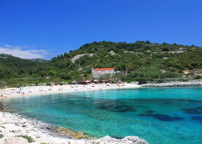 Apartments By The Sea Hvar - 10430
