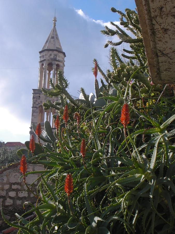 Apartamento Hvar Hvar Town