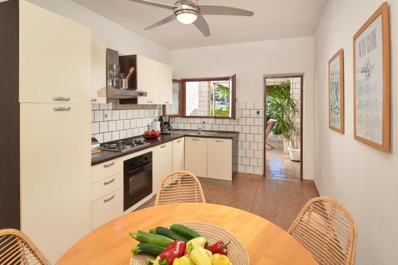 Apartment Oasis