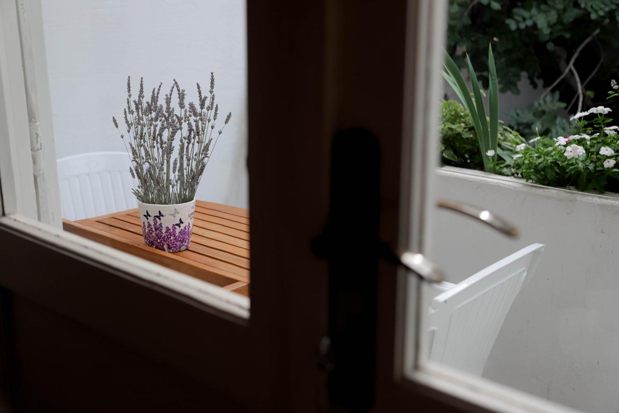 Apartment Lavender Rooms&apartment Hvar *