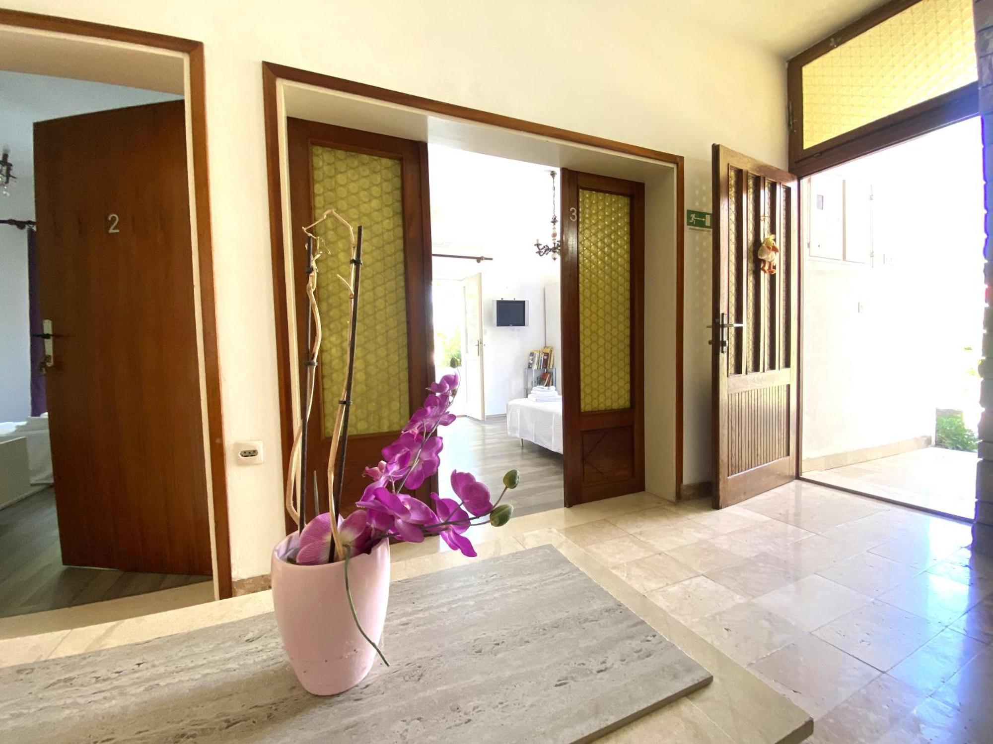 Lavender Rooms&apartment Hvar Apartment *