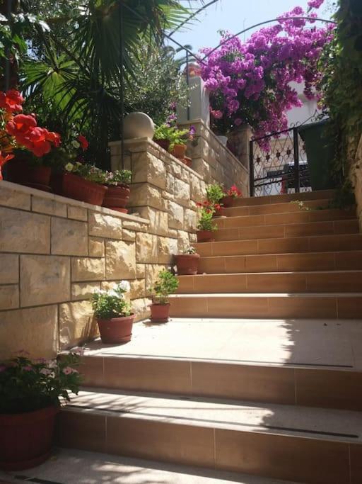Spacious Apartment, Tania