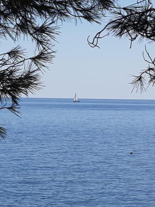 Spacious Apartment, Tania Apartment Hvar Town
