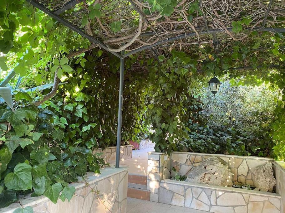 Spacious Apartment, Tania Apartment Hvar Town