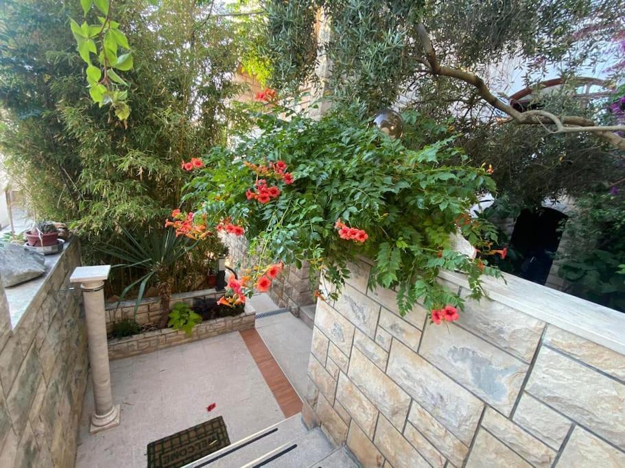 Spacious Apartment, Tania Apartment *