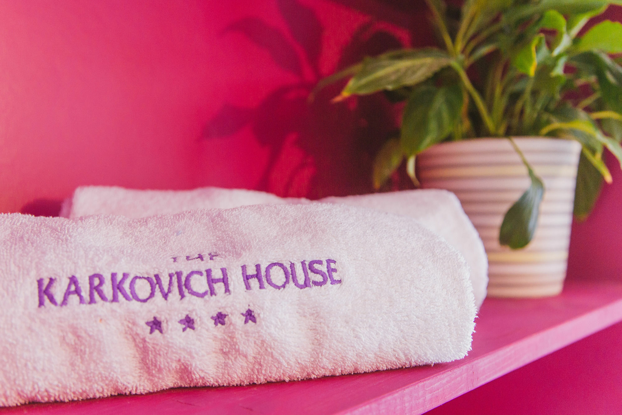 House Karkovich Apartment *