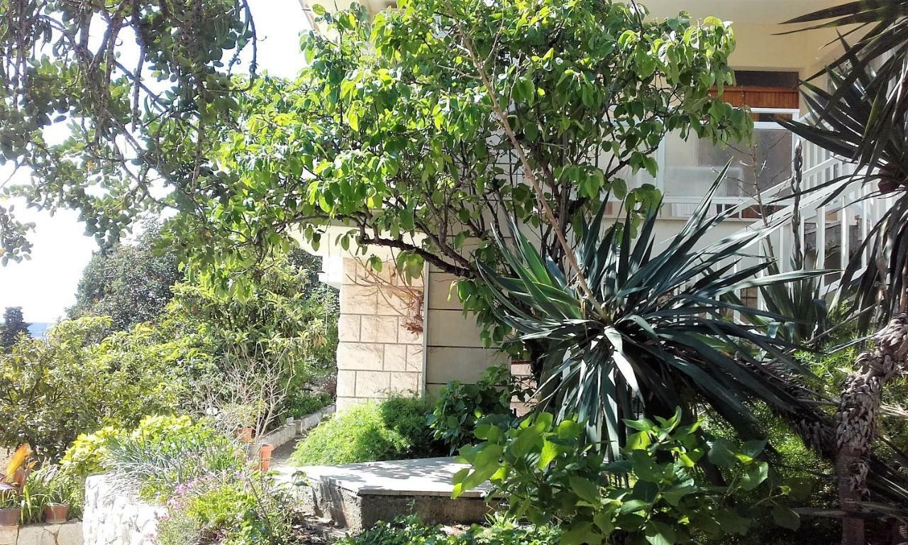Apartment Stone House Buzolic *