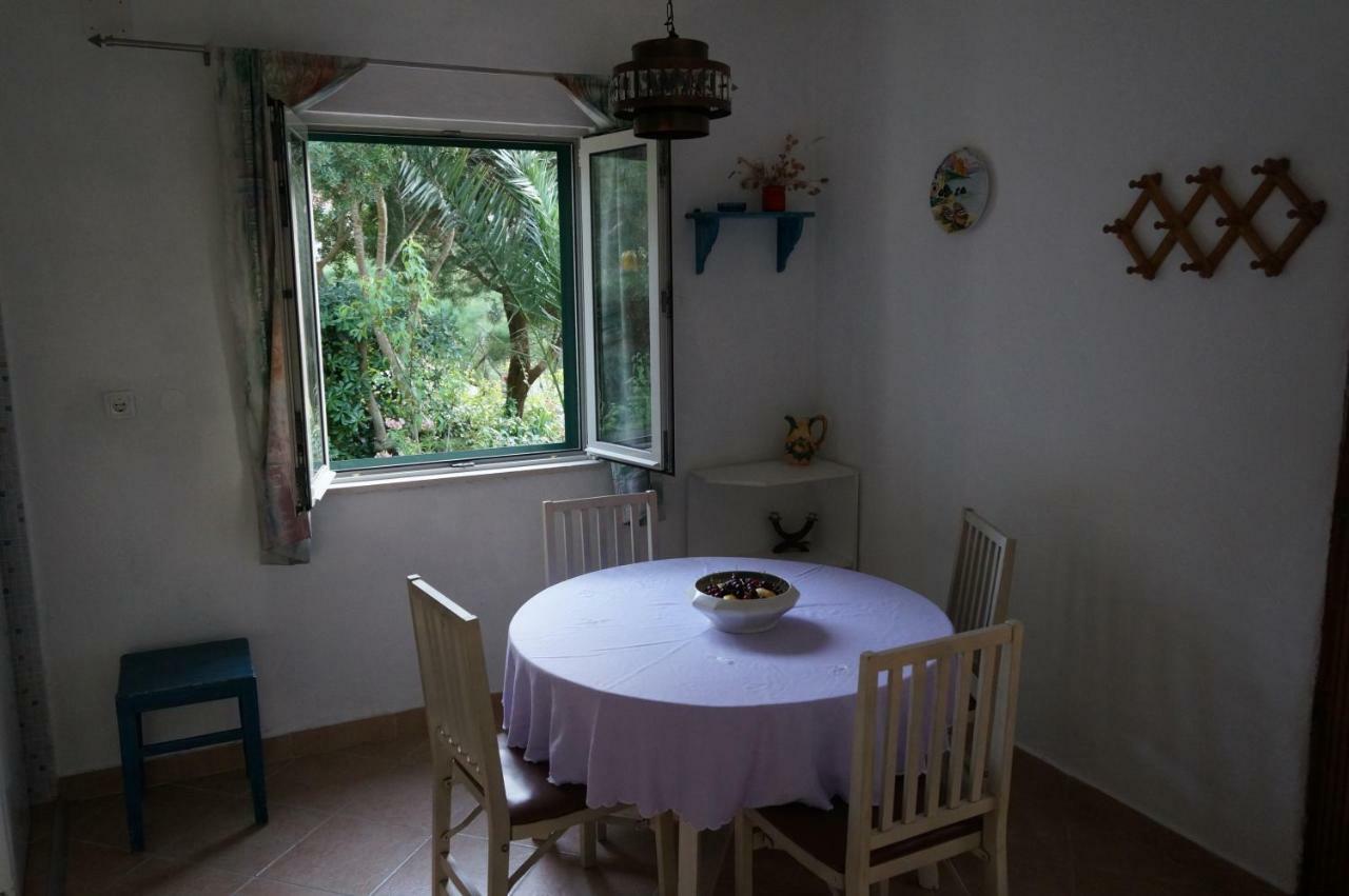 Apartment Stiniva *