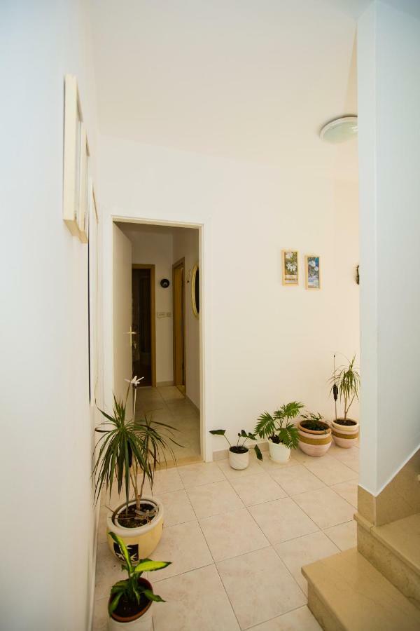 Sven Apartamento