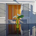 Apartments Dinka Milicic