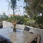 Pine Apartment