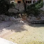 Apartment Zastupac 8761D