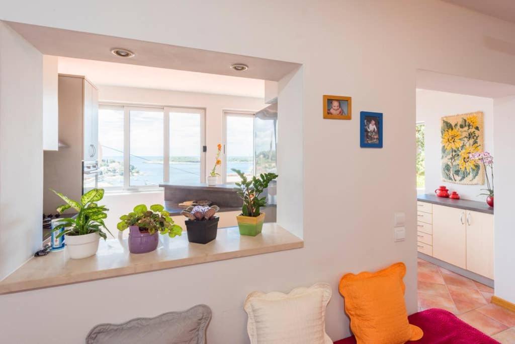 Jelka- Center Of Apartment