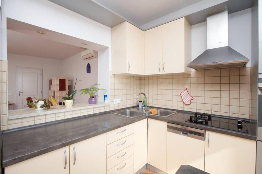 Jelka- Center Of Apartment *
