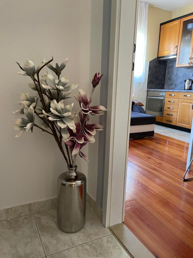 Apartment Dinka *
