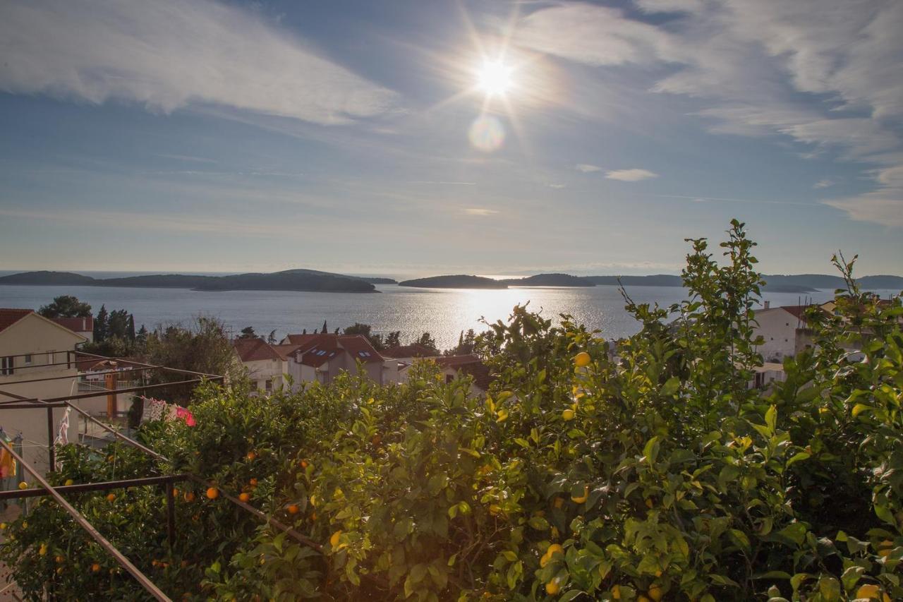 Biba Hvar *