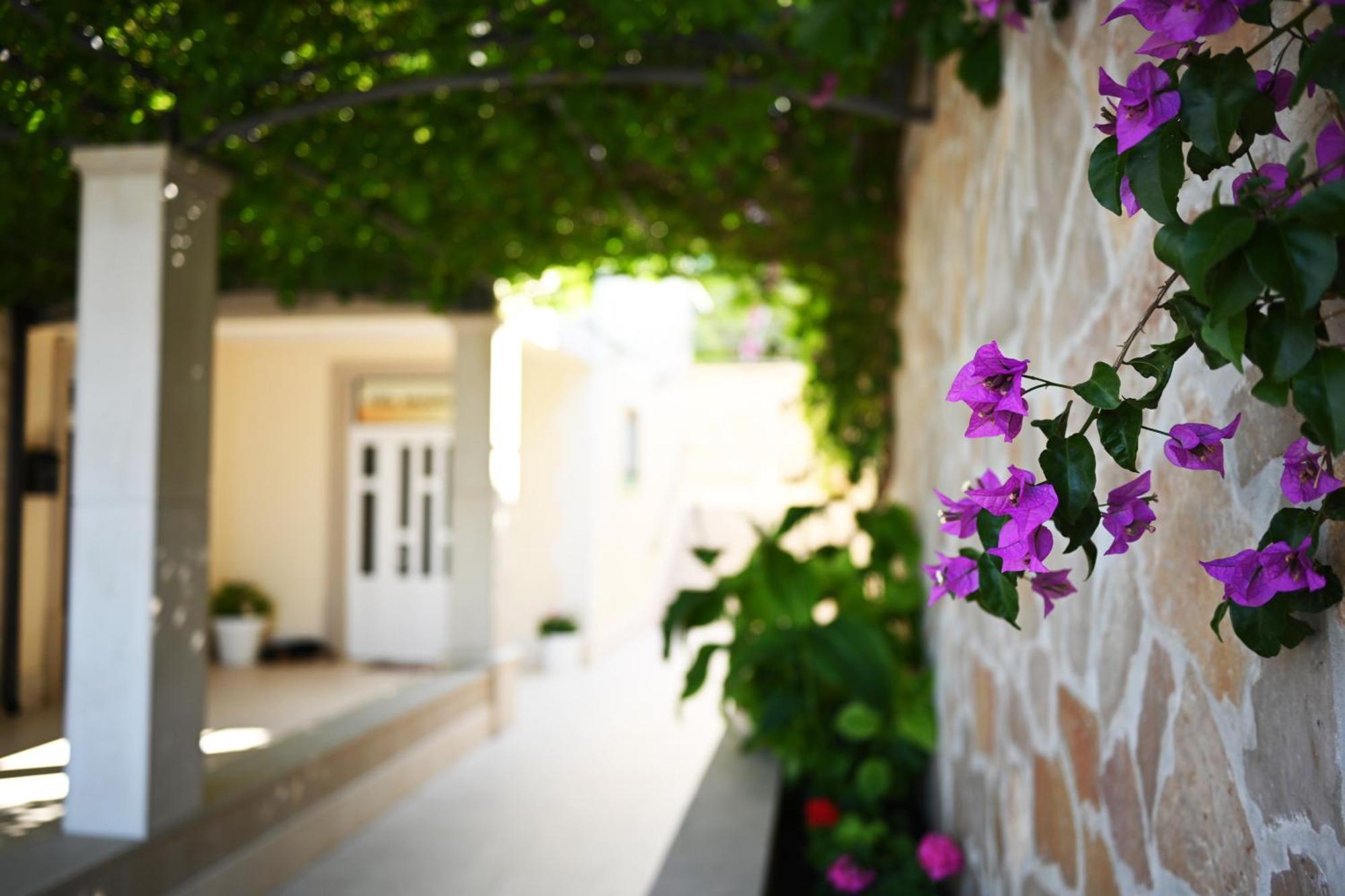 Apartment Hvar Malisko *