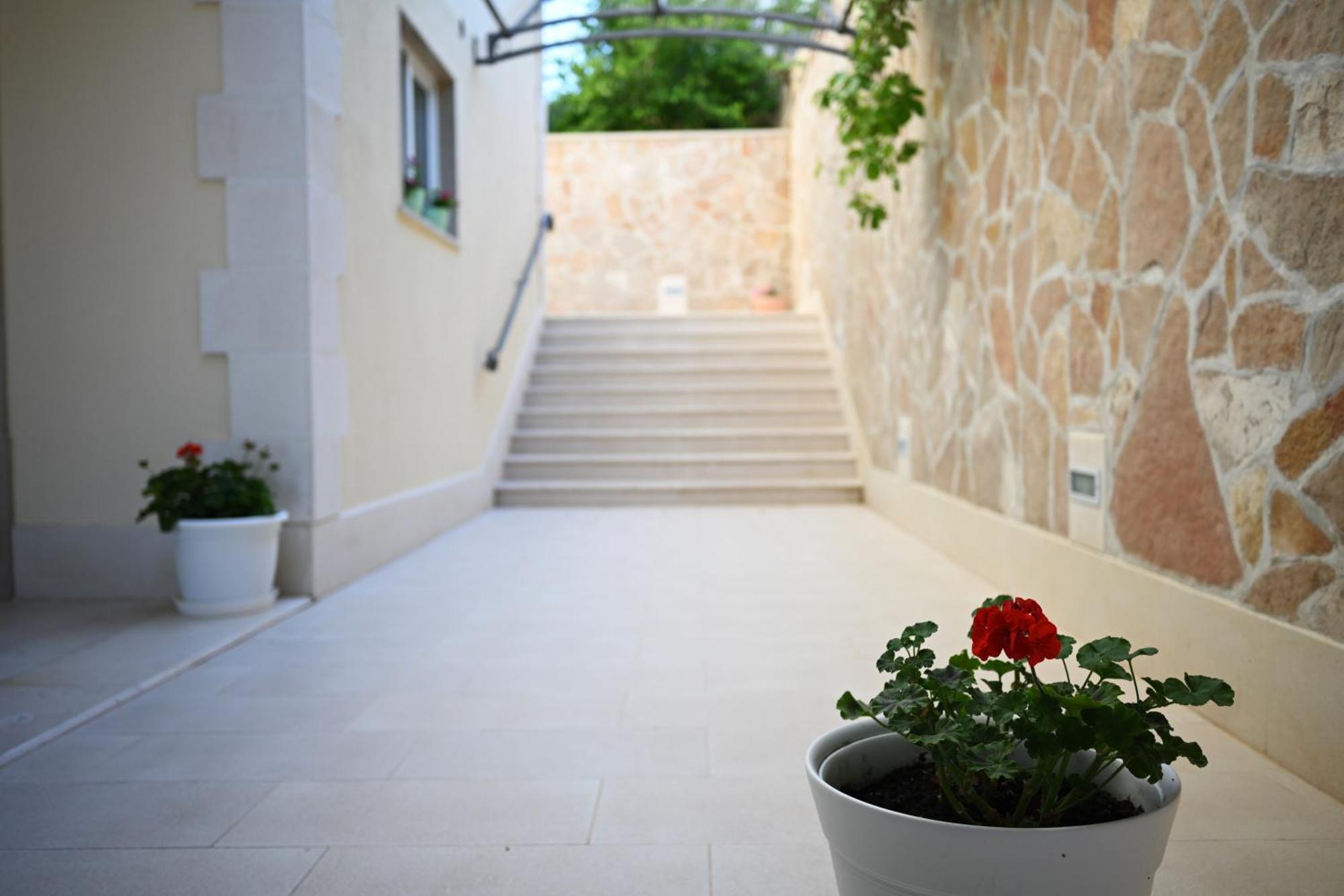 Hvar Malisko *