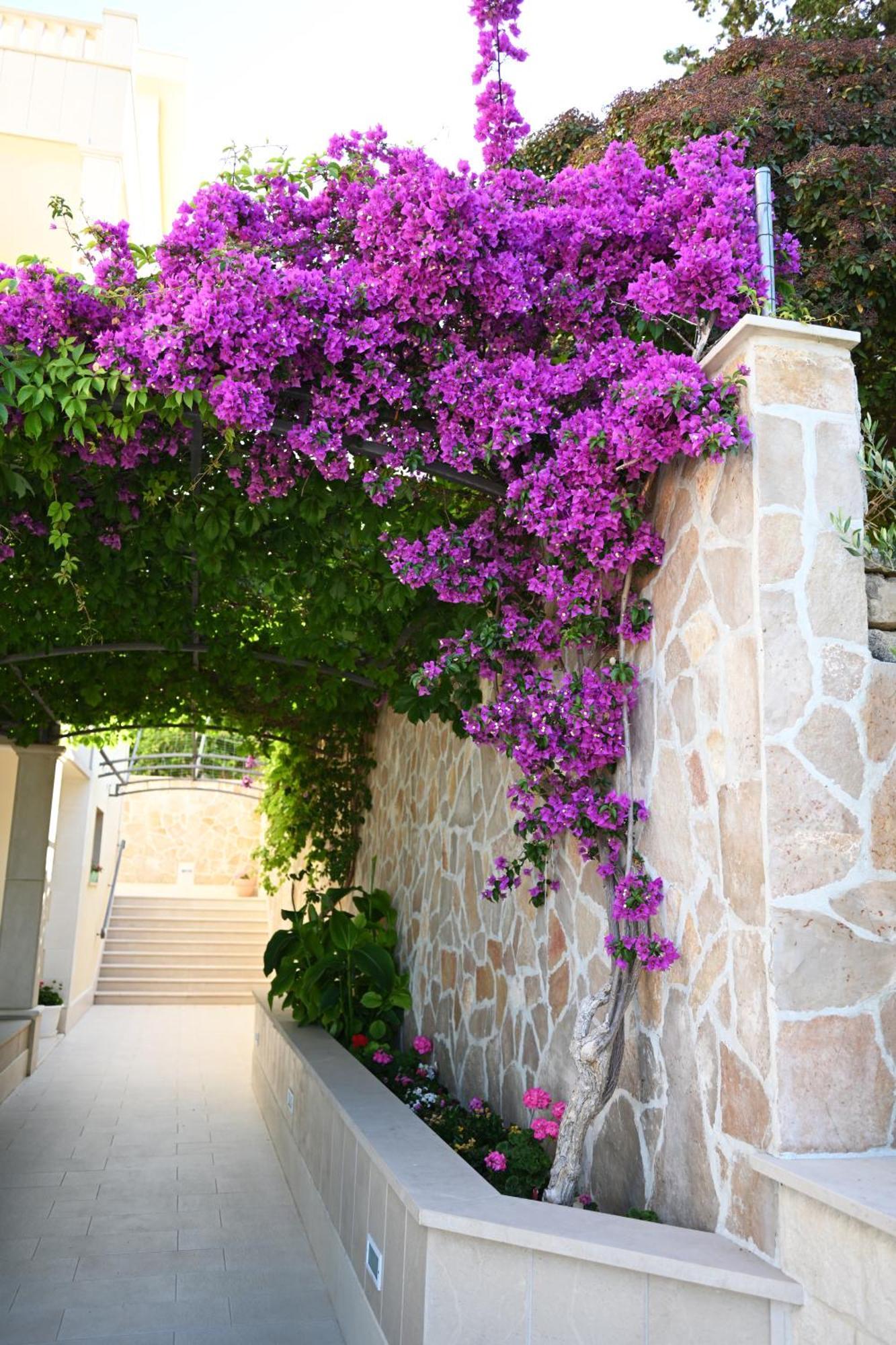 Apartment Hvar Malisko Hvar Town