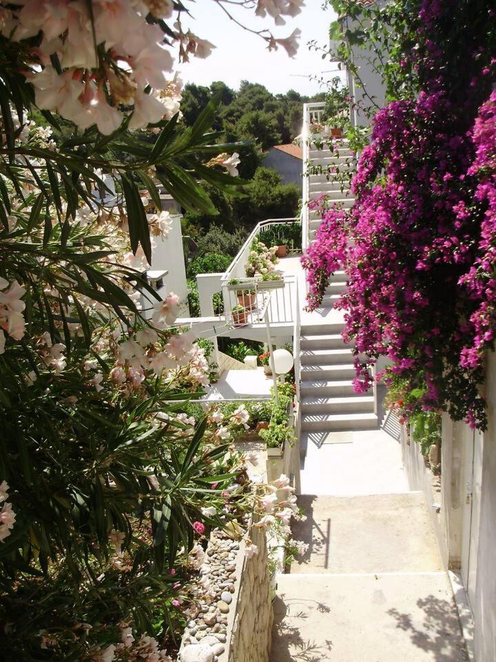 Ana * Hvar Town