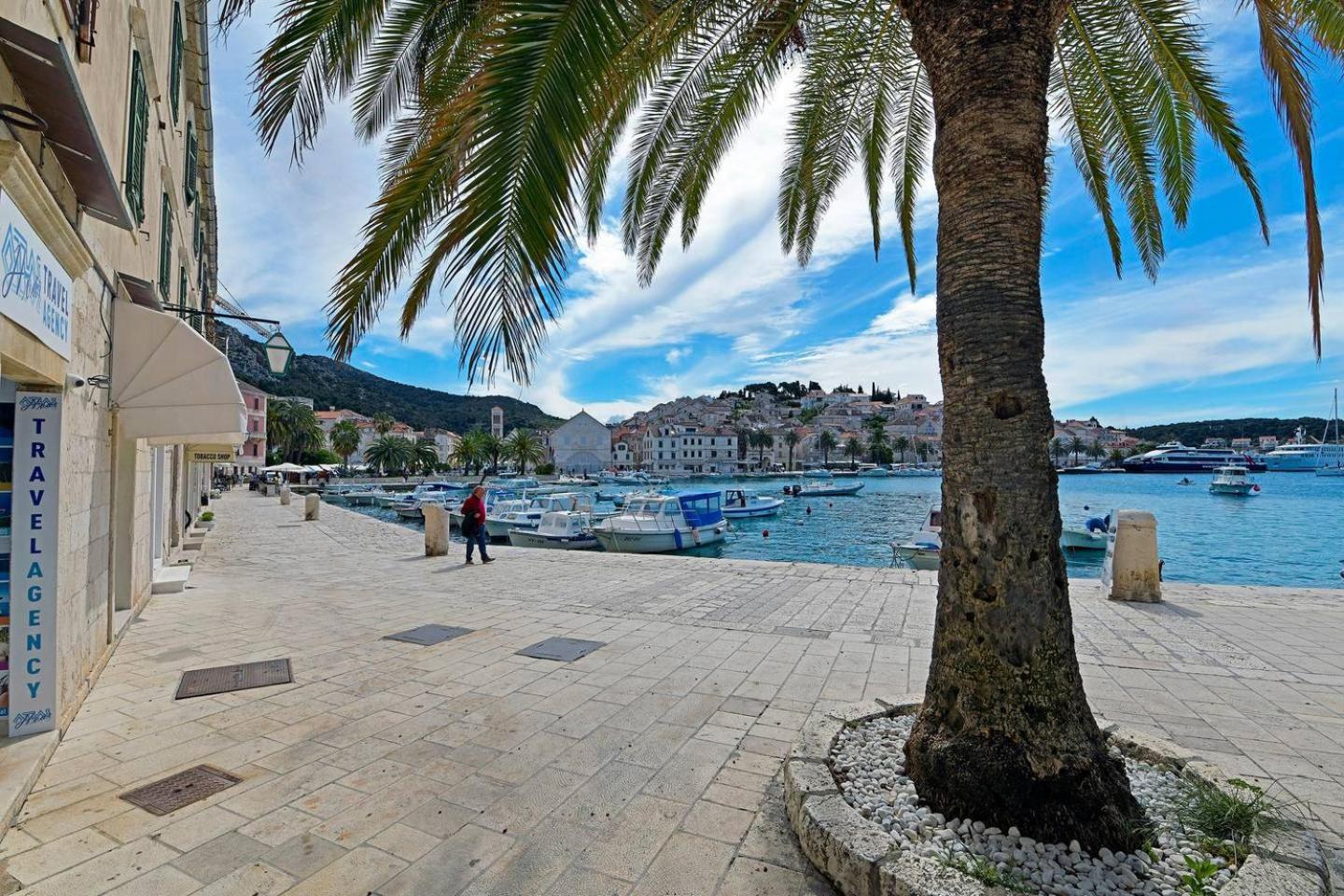 Harmony With A Magical Seaview Appartement