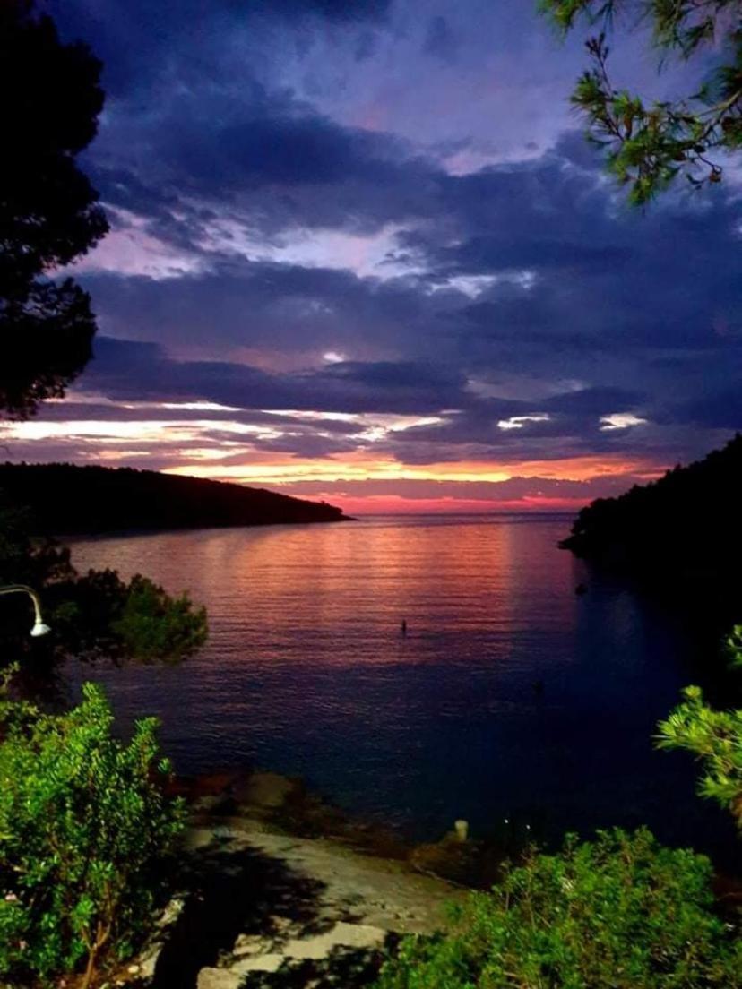Terra Nostra Hvar Apartman