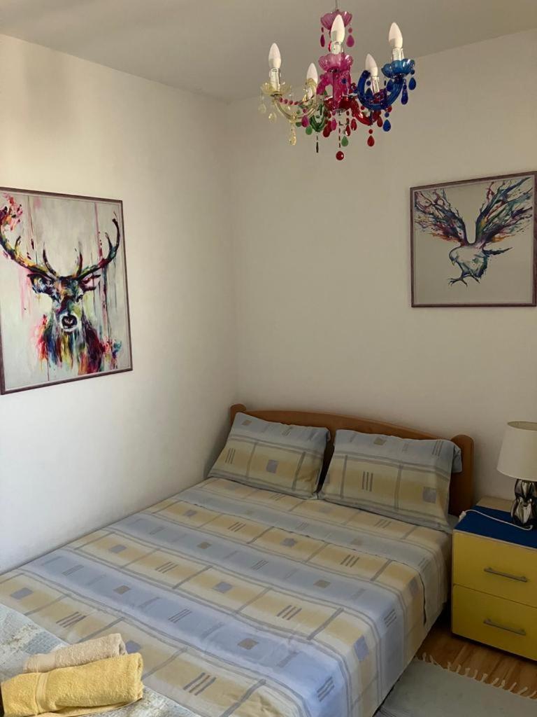 Domus Marini Apartment