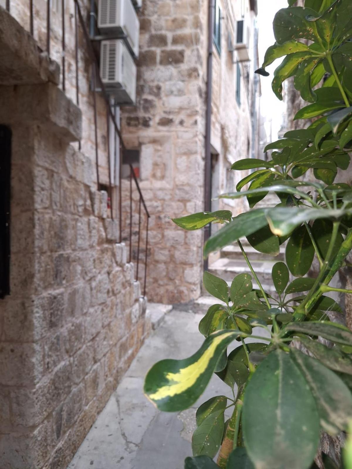 Apartman Piccolino *