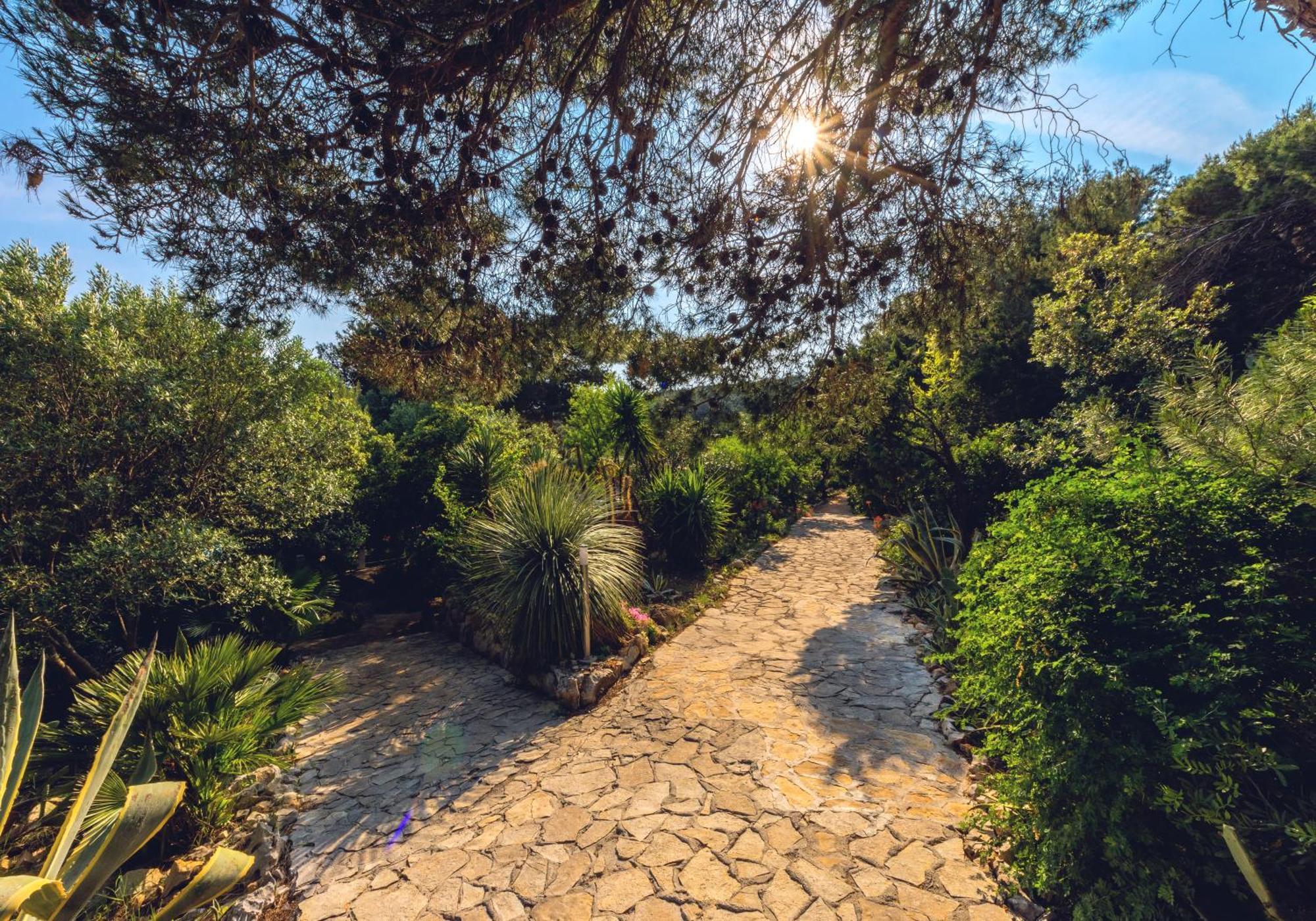 Meneghello Palmizana Art Villa *
