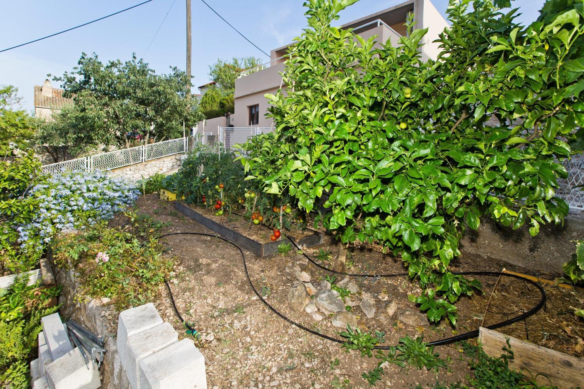 With A Parking Space Hvar - 23410 Appartement Hvar Town