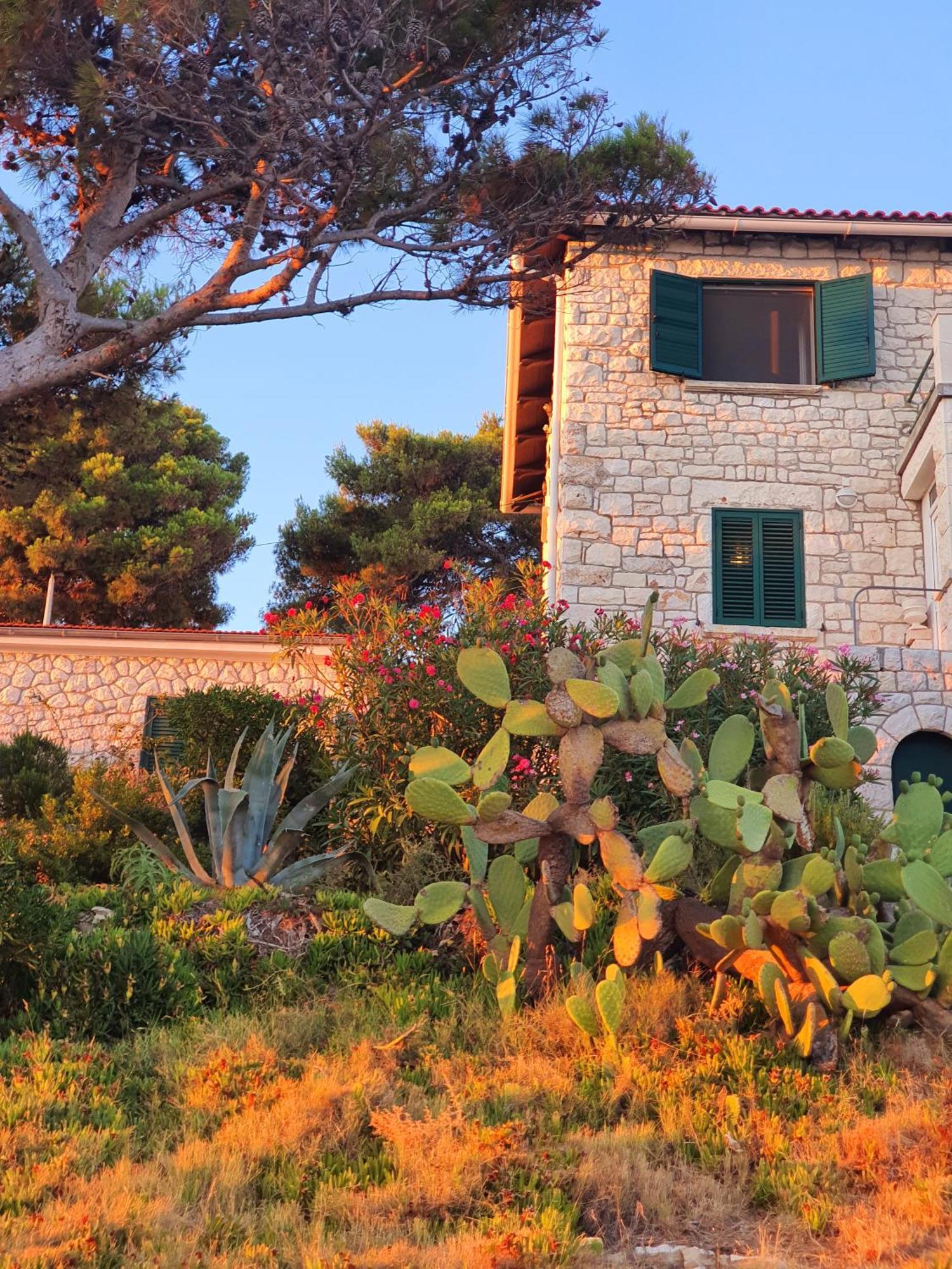 Apartment Violeta Hvar Hvar Town