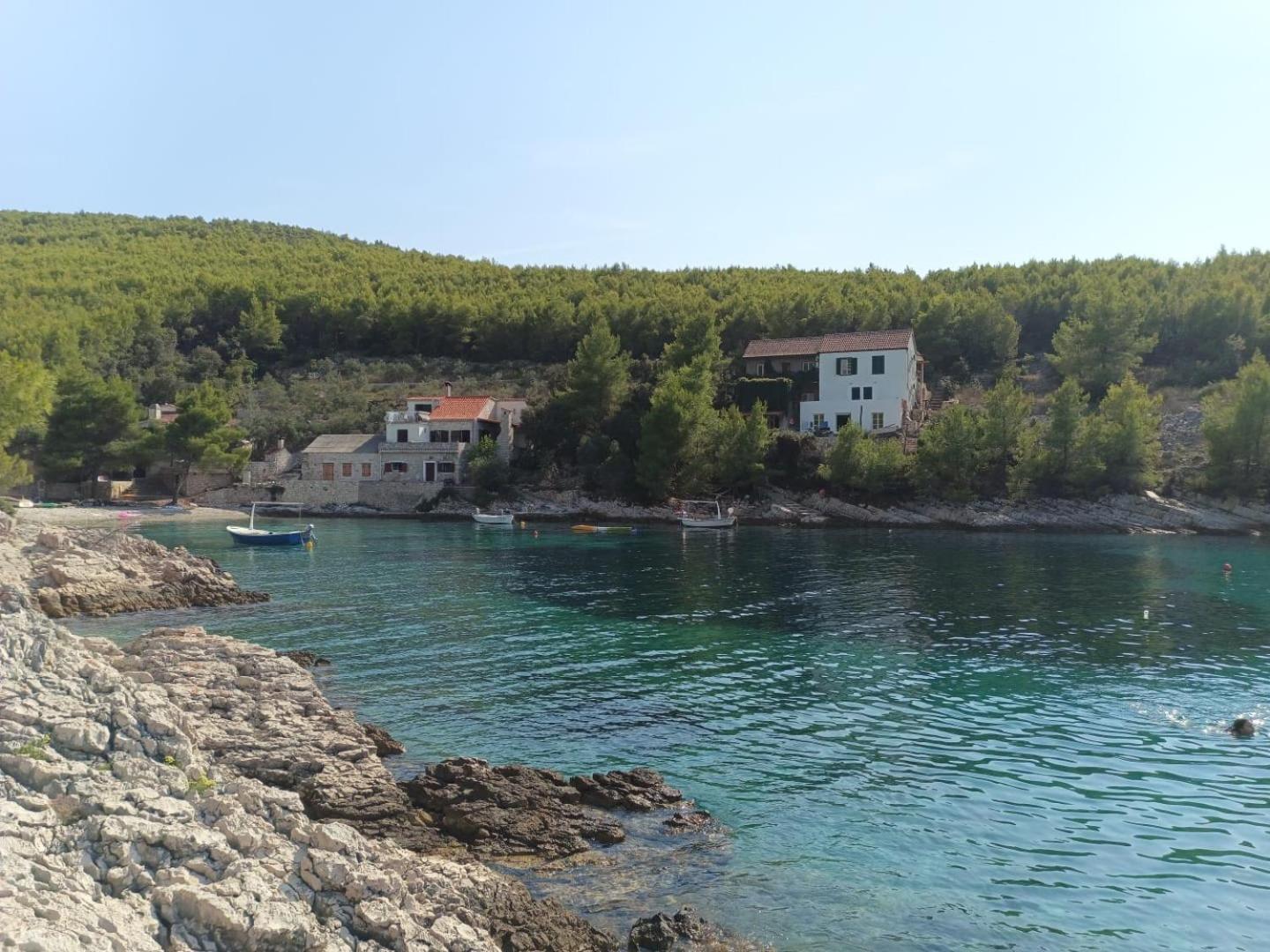 Primitivo Bay Hvar