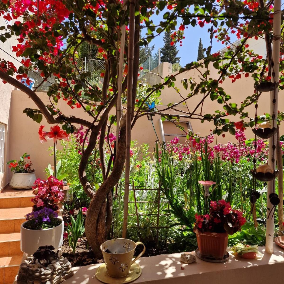 Appartement Ana *