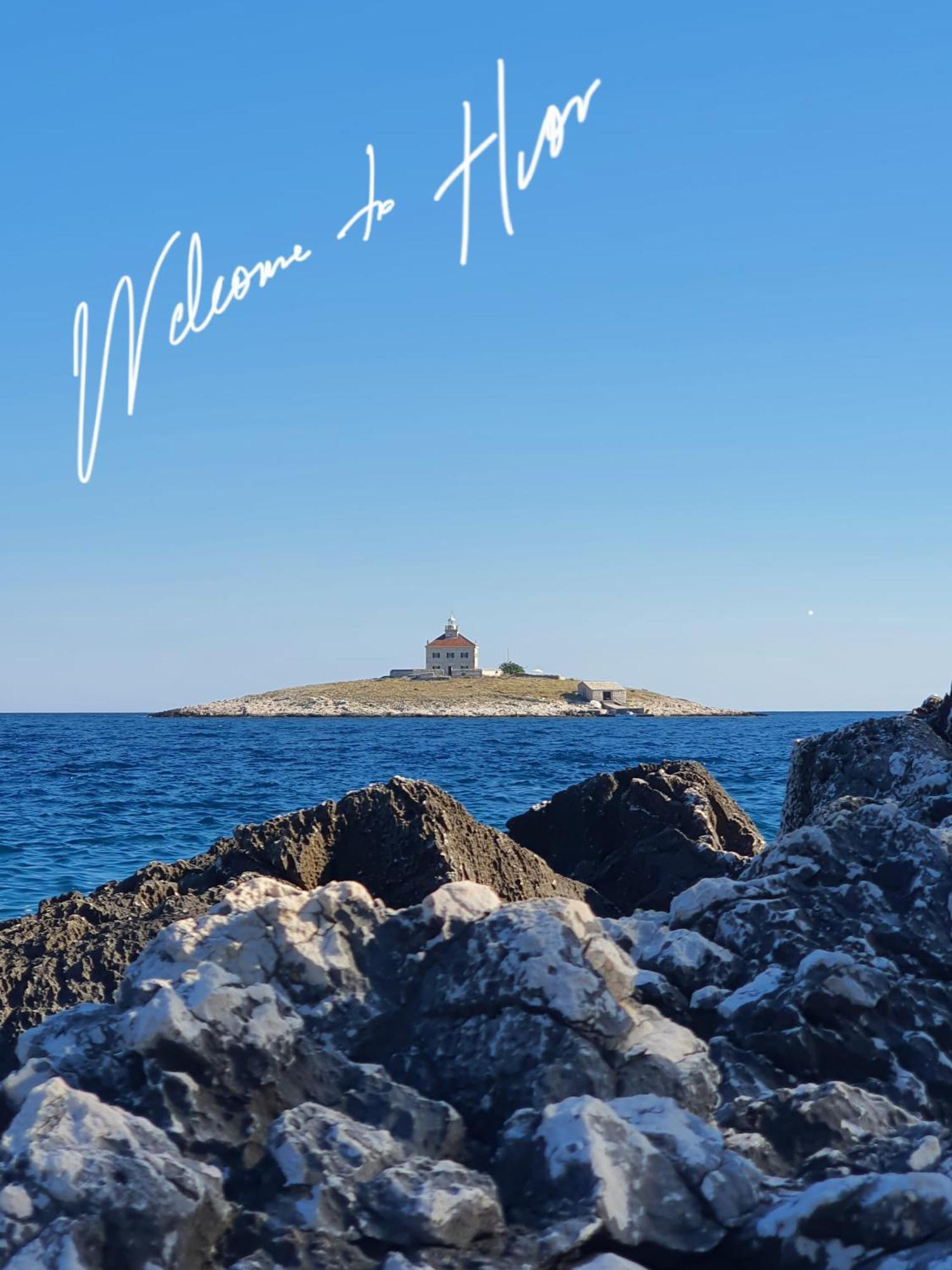 Violeta Hvar