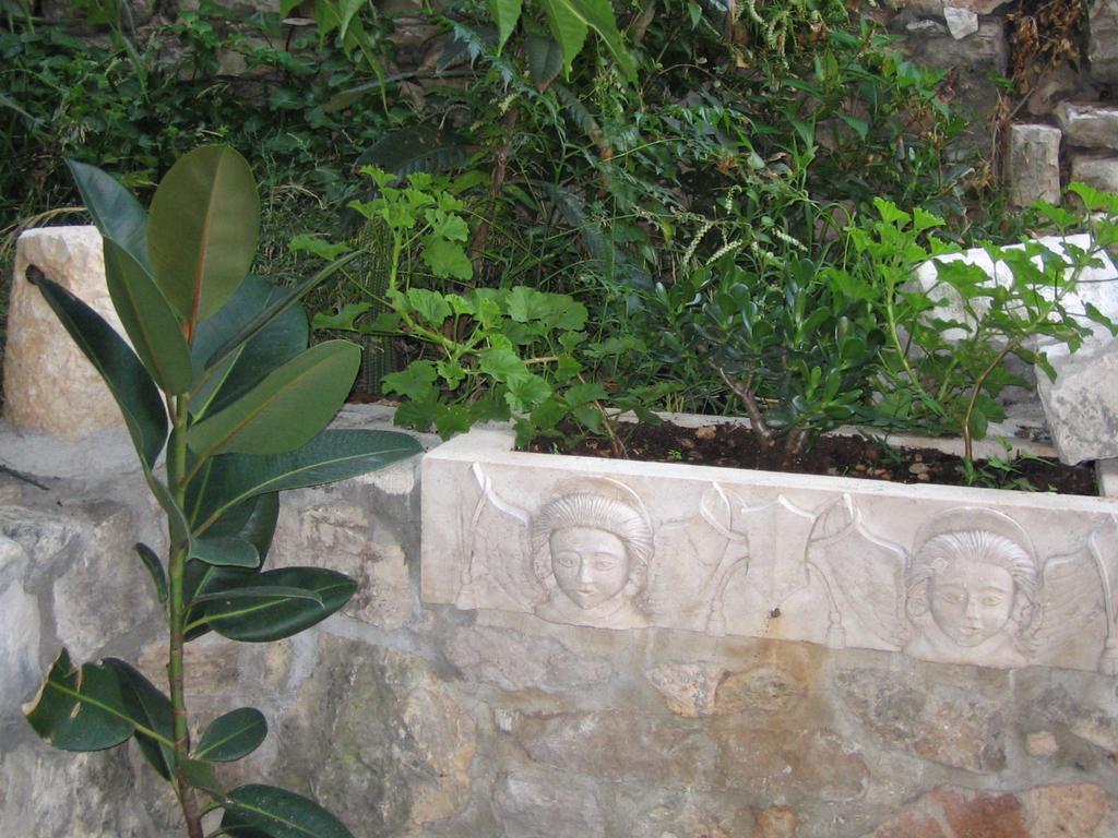 Apartment Domus Marini *
