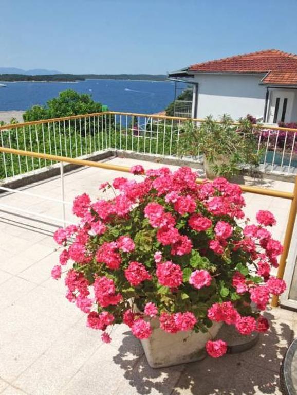 Guest house Vinka Tudor