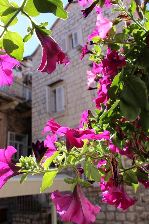 Pinna Hvar Apartment Hvar Town