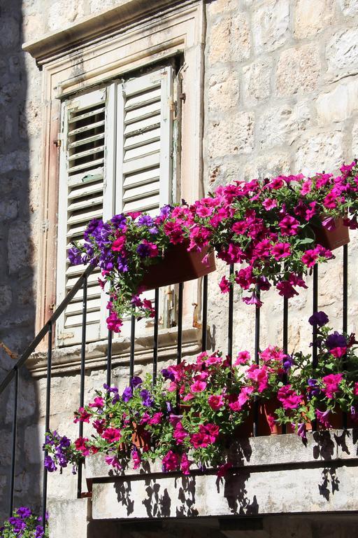 Pinna Hvar Apartment