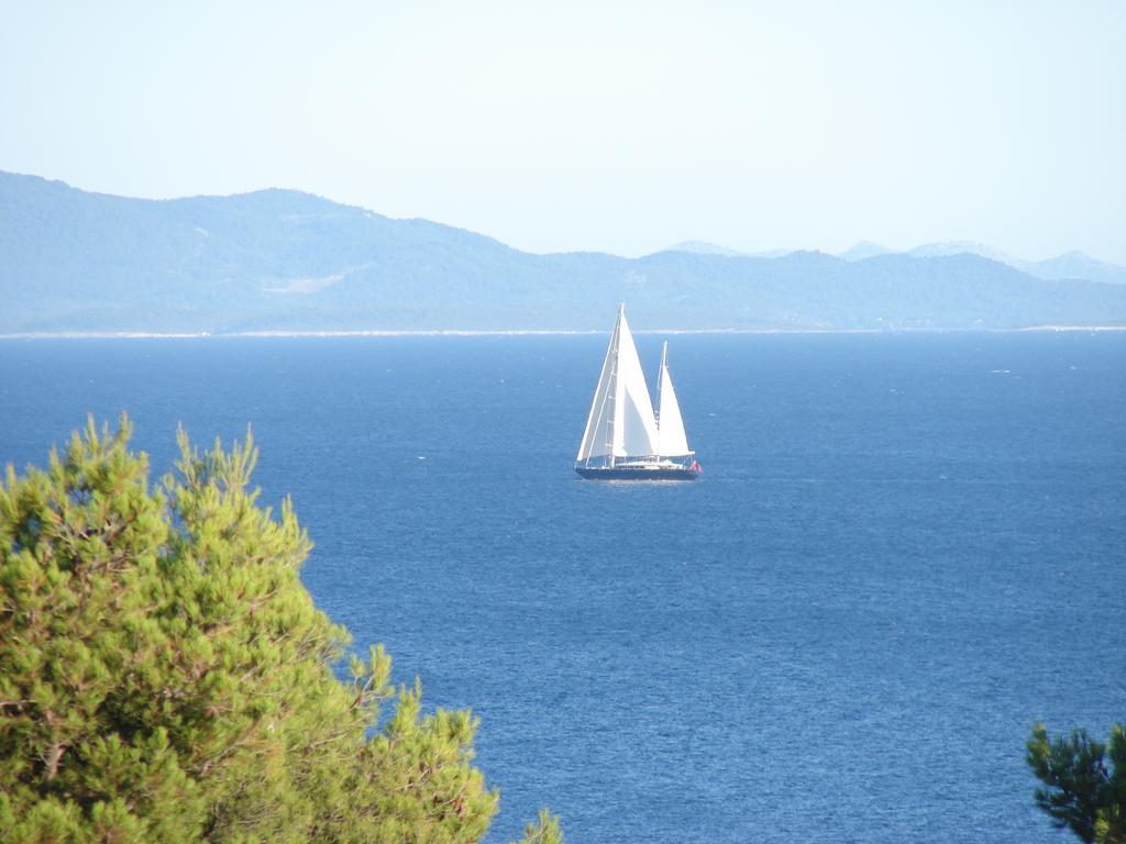 Fio - Hvar *