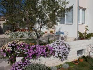 Apartment Pera