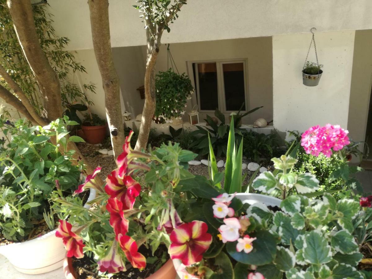 Buzolic Bed & Breakfast