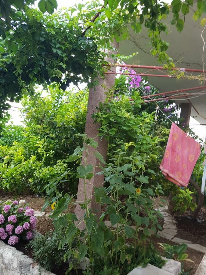 Goran's Place
