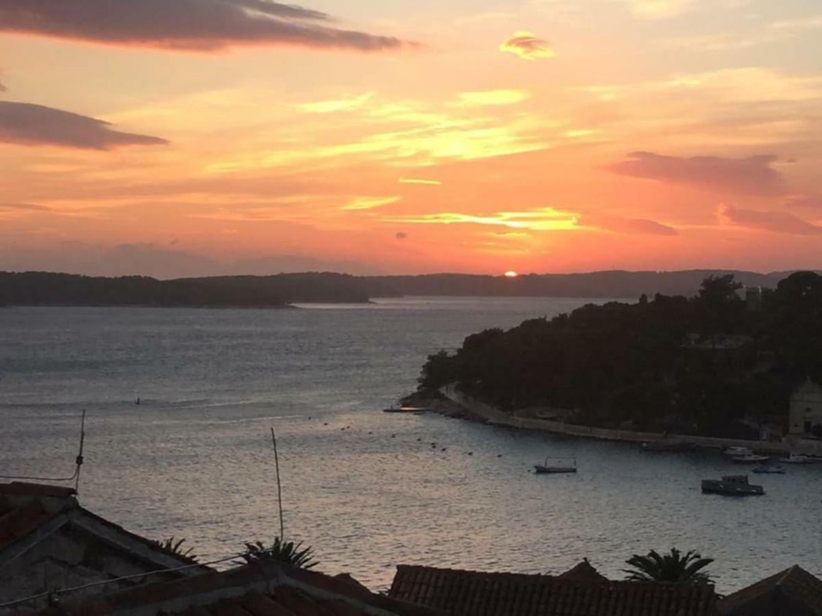 Penthouse In Old Dalmatian House - Flybridge Holiday home *