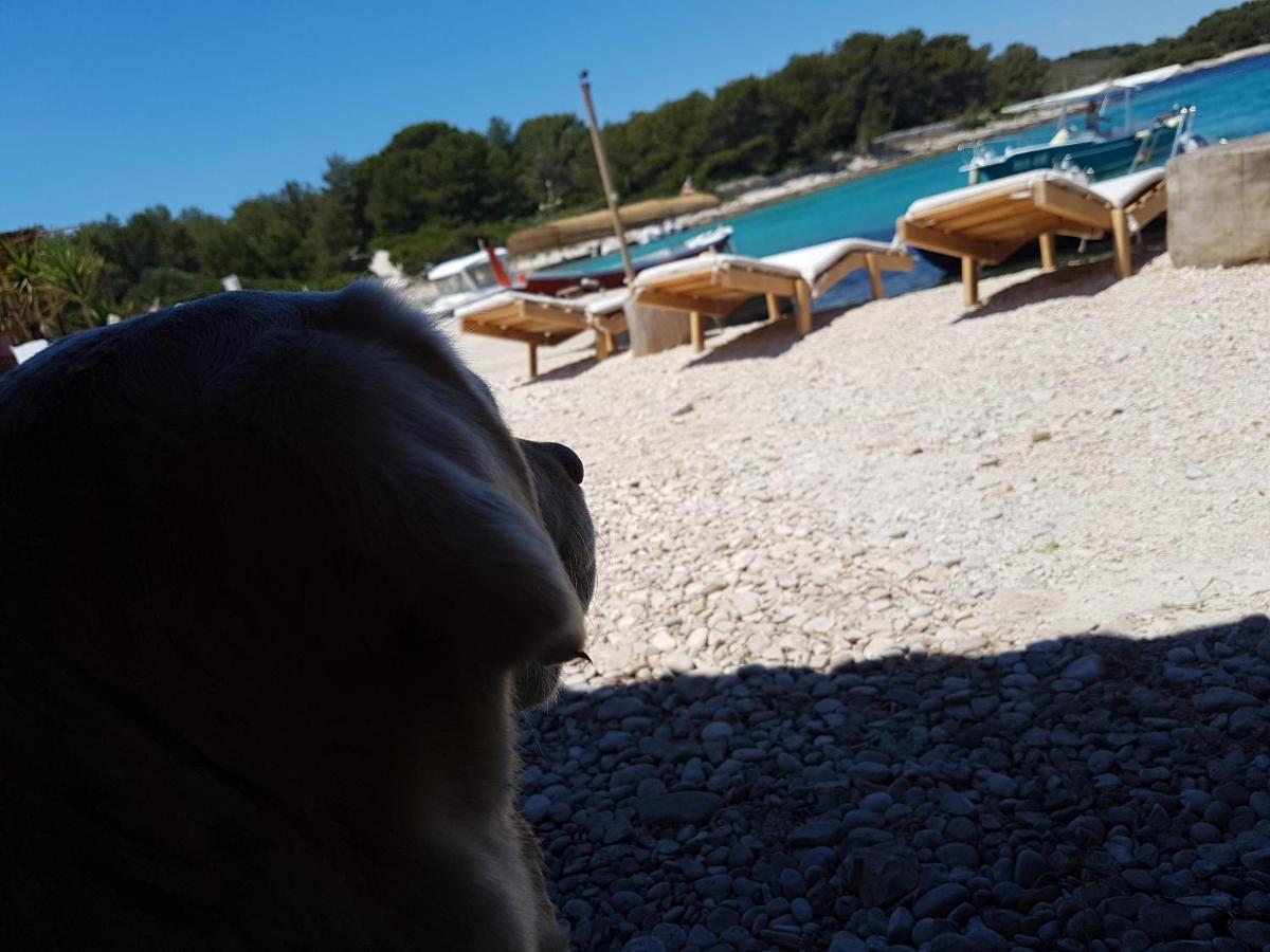 Holiday home Hvar-pakleni Islands- Isolated Robinson House Moj Mir Hvar Town