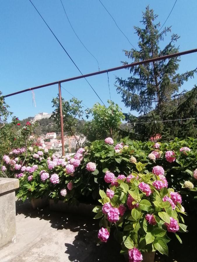 Bracanovic Guest house 3*