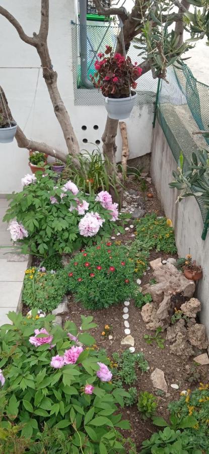 Marina Apartman *