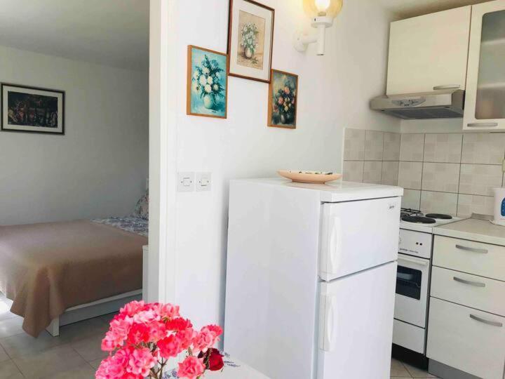 Apartment Ana