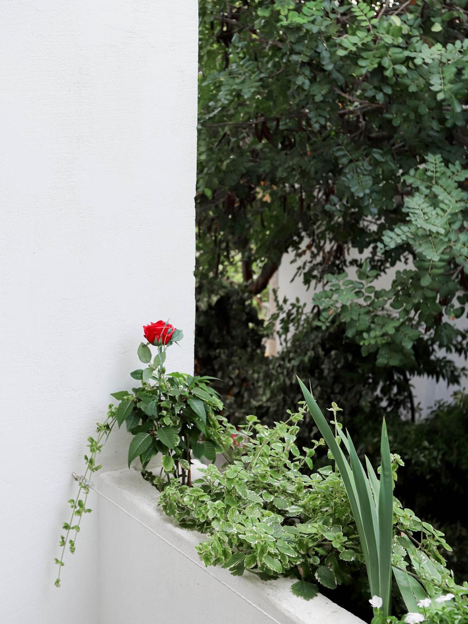 Lavender Rooms&apartment Hvar *