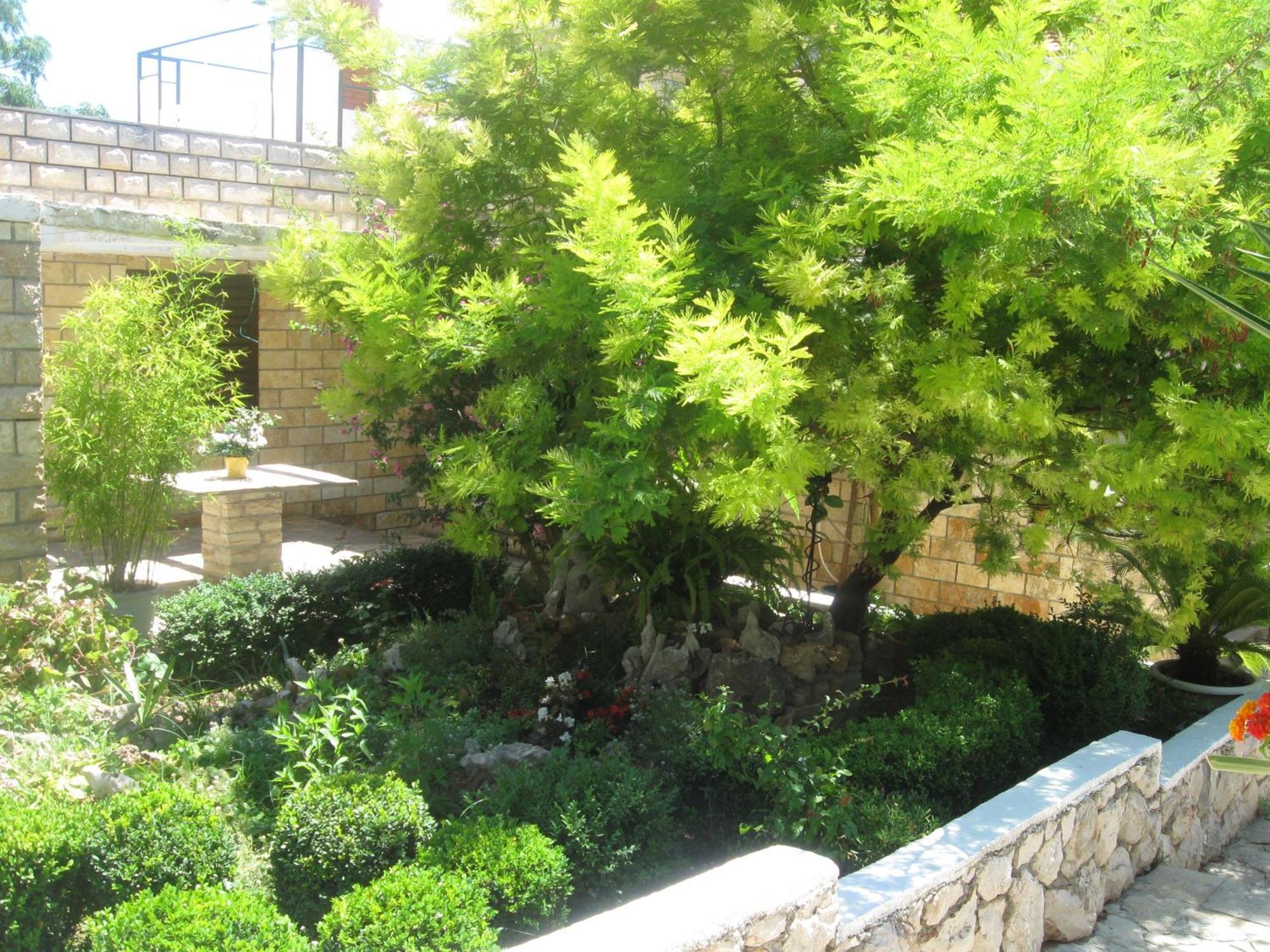 Vucetic Apartamento Hvar Town